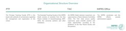 Organizational Structure Overview