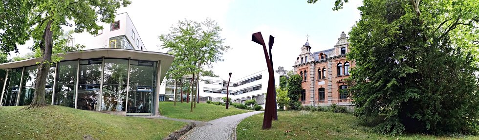 Arriving at the Institute