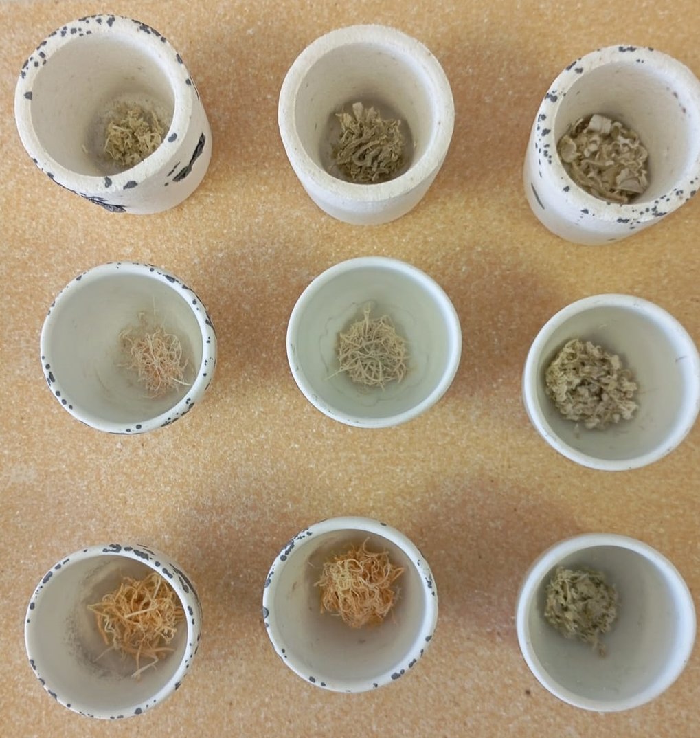 Pretreatment Lab