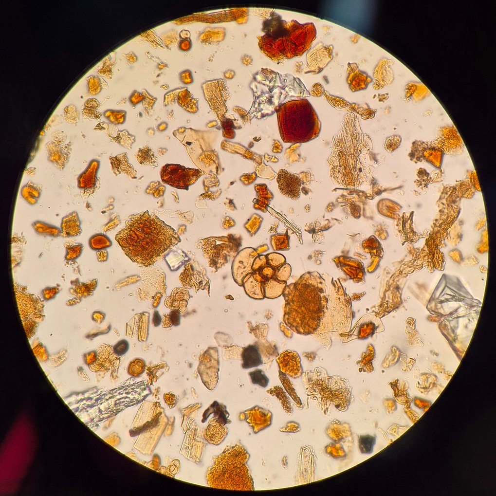Microscope lab