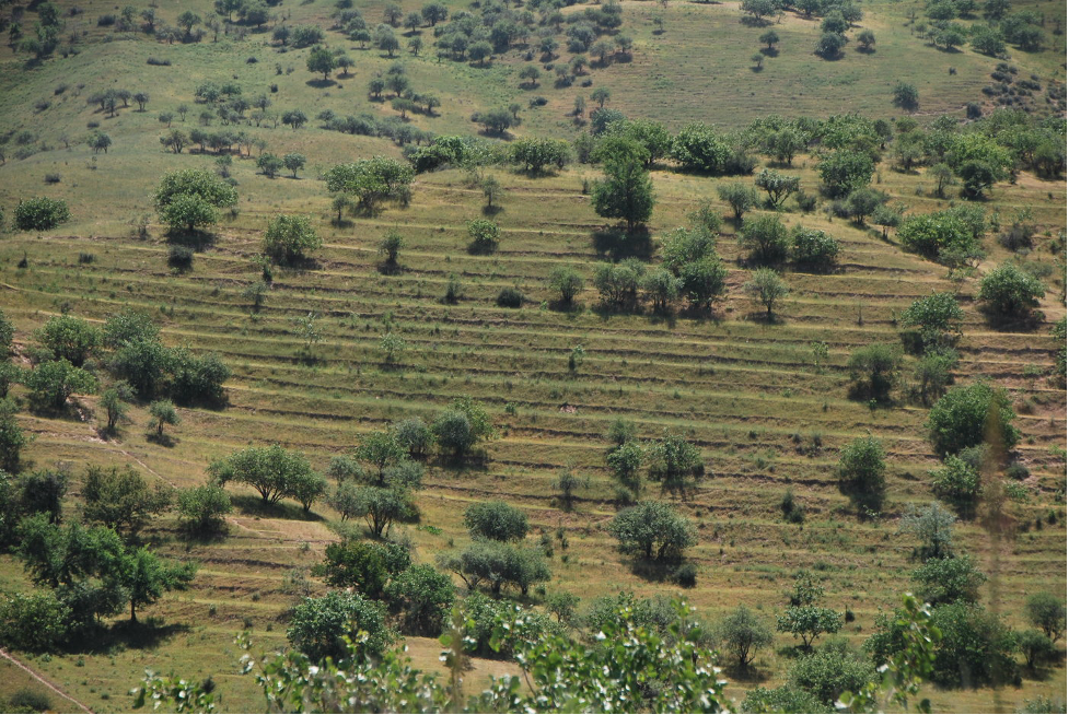 Anthropogene Landschaften entlang der Seidenstraße