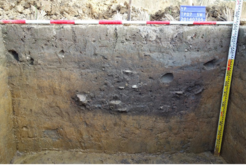 Cross section of a refuse pit from the Yingpu period (Yingpu archaeological site, Taichung City, western Taiwan) dating to around 2000 years before today. The pit contained a rich assemblage of pot sherds, stone tools, and charred plant remains, which provides deep insights into the life of the early farming Yingpu culture.