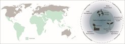 Karte des globalen Südens und eine schematische Darstellung der dreifachen planetarischen Krise (innerer Kreis); Verbindungen zu den Erklärungen und Ergebnissen der COP28 (mittlerer Kreis); und vorgeschlagene Integration der wichtigsten Perspektiven in die Politikgestaltung durch die Brille der Paläoökologie, Archäologie und des traditionellen und historischen Wissens (äußerer Kreis). Kredit: ECHOES et al. (2024).