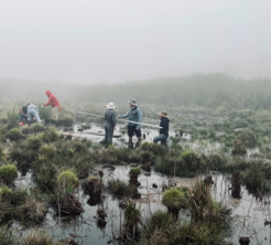 Sediment coring in the central highlands of Sri Lanka to develop records of environmental change.