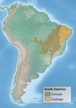 Karte des Untersuchungsgebiets im mittleren Osten Südamerikas mit den Standorten der Biome Cerrado und Caatinga