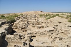 The view from across the rabat or caravansarai at Paykend looking toward the ancient citadel of the city. The FEDD project collected sediment samples for archaeobotanical analysis from this site in 2019