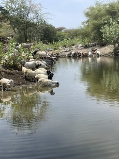 © Rahab Kinyanjui