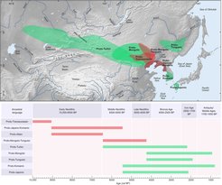 Geschätzte Standorte für die transeurasischen Heimatländer in Zeit und Raum. Es wird zwischen den Sprachen der Vorfahren, die in der Jungsteinzeit gesprochen wurden (rot), und den Sprachen, die in der Bronzezeit und später gesprochen wurden (grün), unterschieden.