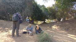 Survey activity in the Gambia valley, Senegal