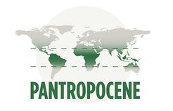 © PANTROPOCENE; Hans Sell