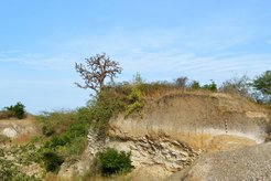 150.000 Jahre alte Sedimente in Barny 1, die die ältesten Werkzeuge aus der Mittleren Steinzeit in Westafrika enthalten