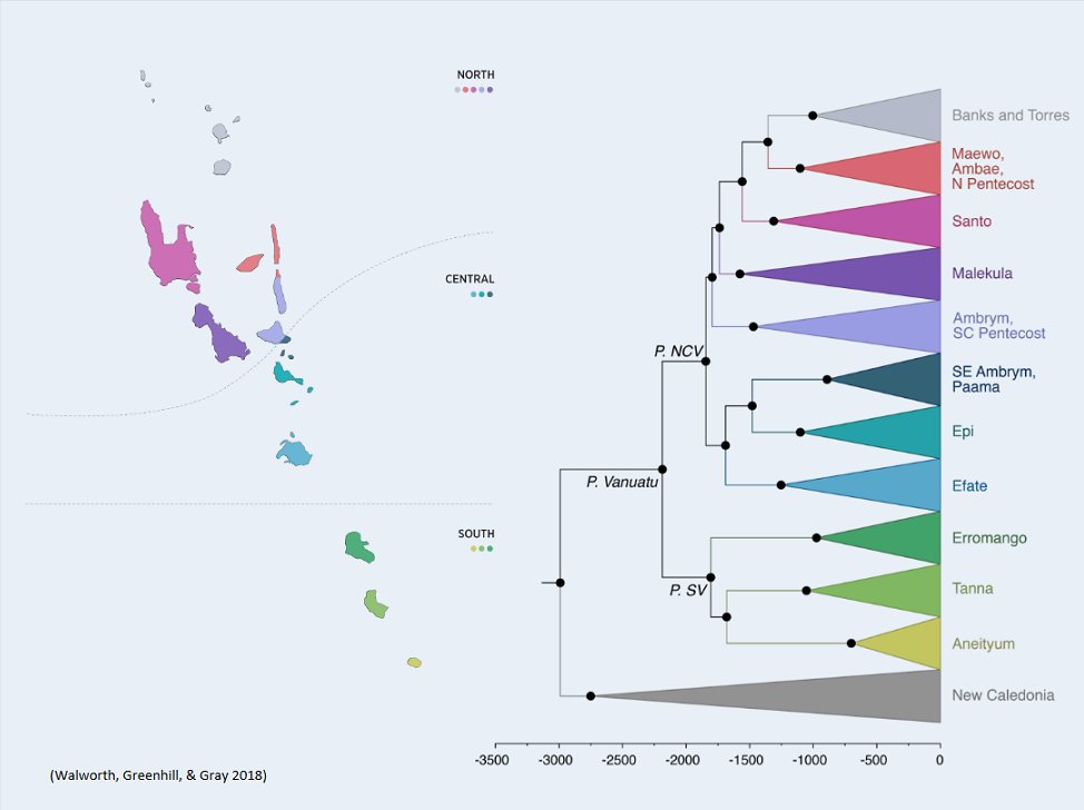 How did Vanuatu become the Galapagos of Language Evolution?
