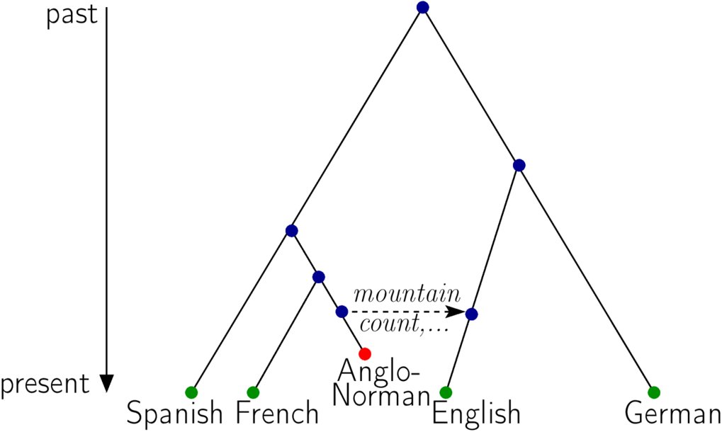 Modelling horizontal transfer of linguistic features