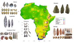 Map illustrating the distribution of ‘generic’ (black hollow circles) and ‘specific’ (coloured circles) MSA sites from the ‘ROCEEH – Out of Africa database’ (www.roceeh.net) (Kandel et al. 2023). Images highlighting some of these ‘specific’ cultural innovations have been included with permission (see Timbrell, 2024).