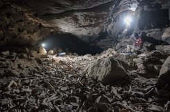 An enormous collection of bones in the Umm Jirsan lava tube gathered by hyenas over thousands of years