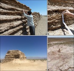 Remnant wall segments and beacon towers of northwestern China. (a) Sampling of Phragmites culms from site 7; (b) Reed fascines alternating with layers of rammed earthat Majuanwan; (c) Remnants ofSishilidadun Beacon Tower (Site 14) dating to the Song Dynasty; (d) Low altitude air photo of the Yakelun Beacon Tower (Site 11), courtesy of Xingjun Hu. Note the wild plants growing adjacentto the tower.