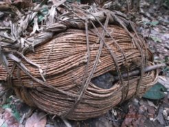 A small bag found in the Awá-Guajá isolated group’s territory, with a tool made of beeswax inside