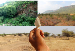 Eine Kultur, viele Nischen: Räumliche Variabilität im biogeografischen Kontext des Mittelpaläolithikums im Cuddapah-Becken, Andhra Pradesh.