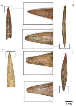 Knochenwerkzeuge aus dem frühen Holozän, die bei den Ausgrabungen der Topogaro-Fundstelle in Sulawesi, Indonesien, gefunden wurden