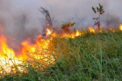 Slash and burn fires in Para, Brazil