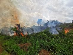 Flächenbrand in Para, Brasilien