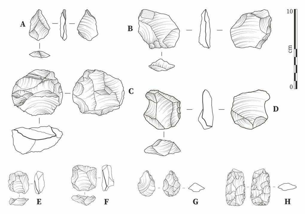 Pan-African Evolution