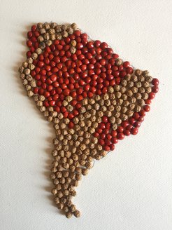 Karte aus Samen des Amazonas- und Atlantischen Regenwaldes