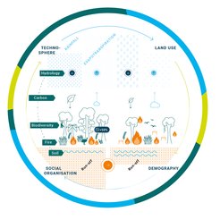 The global interconnectedness of tropical forests with different Earth cycles and interactions with the technosphere. Water cycle: Tropical forests contribute to cloud formation and precipitation. Carbon cycle: Tropical forests are considered important carbon sinks. Biodiversity: More than half of all plant and animal species live in tropical forests. Fire: Drought and heat stress make tropical forests more susceptible to forest fires, which lead to additional CO2, methane and particulate emissions. Soil: Thanks to their extensive root systems and vegetation cover, tropical forests help to stabilize soils.