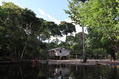 Even the early colonisation of the tropical forests had serious consequences.
