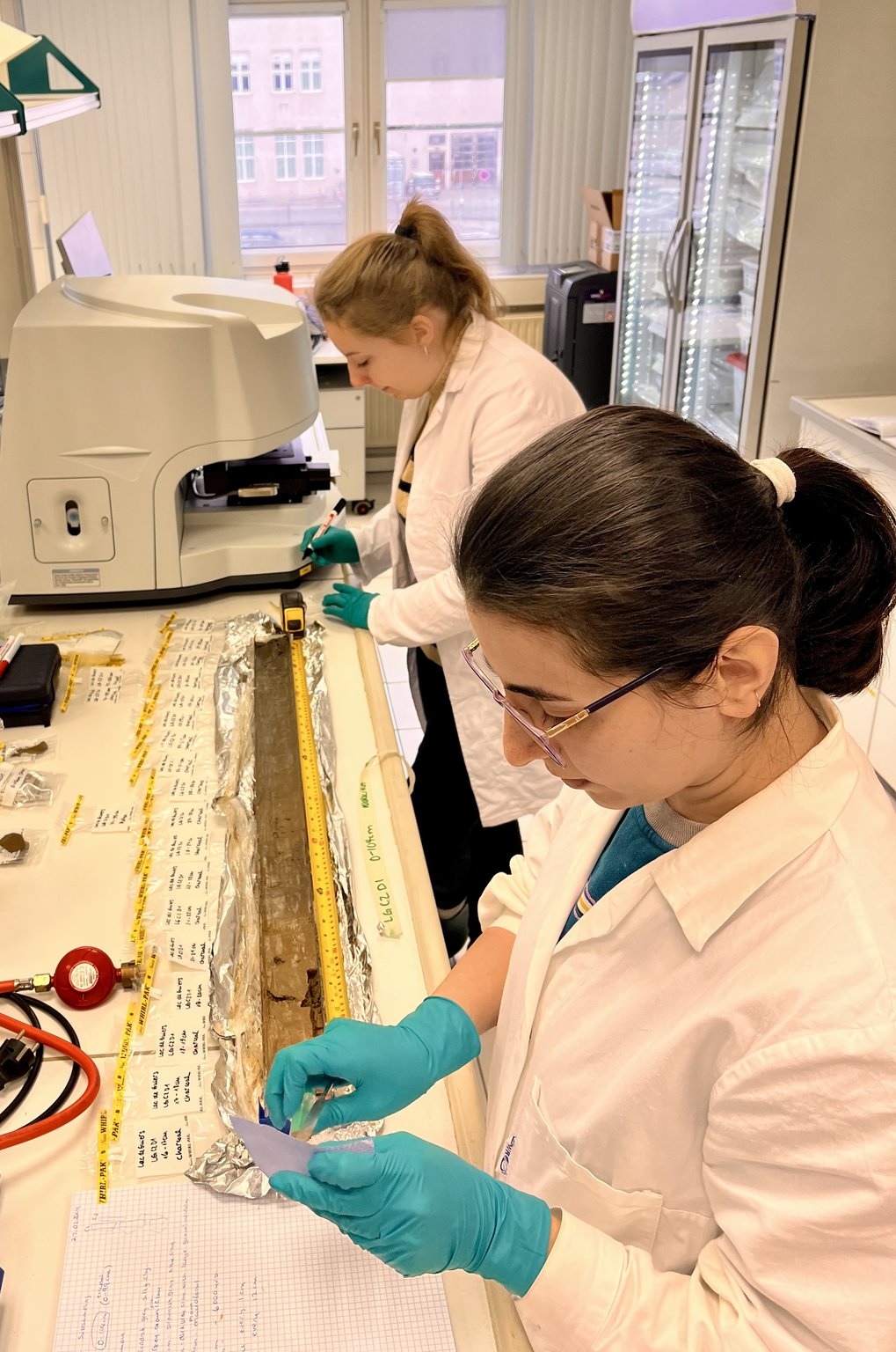Palaeoecology Lab